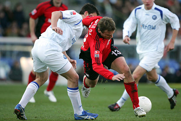 其他豪门提 其他豪门提