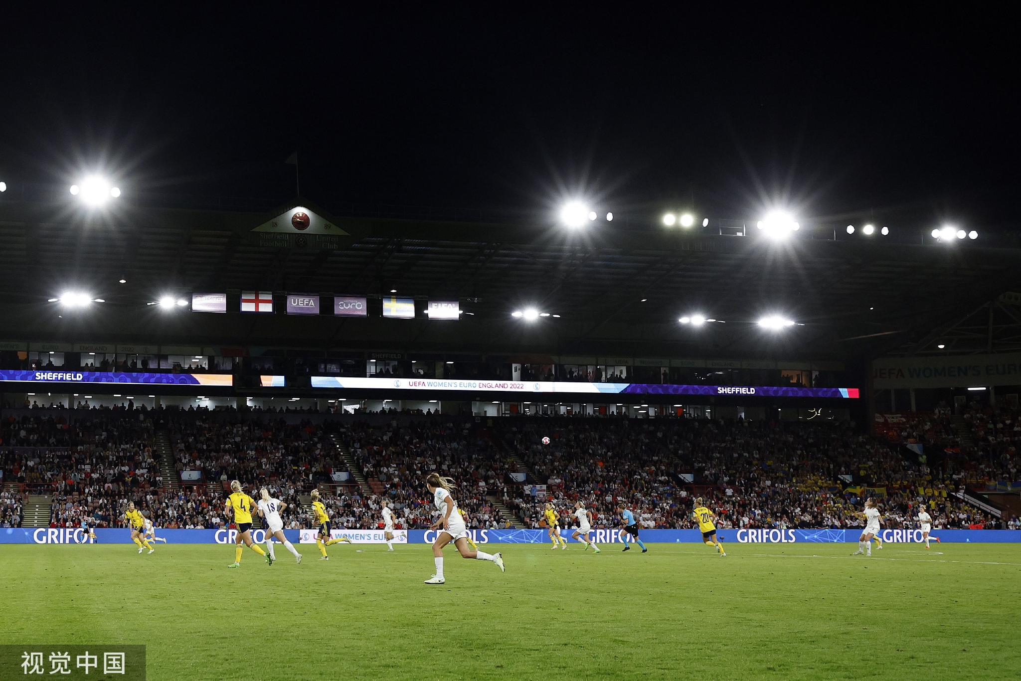 们提供了绝 们提供了绝